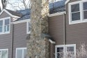 New stone chimney by Stichter & Sons Masonry. Kosciusko County, Indiana. Call (574) 658-4239 for a quote today!